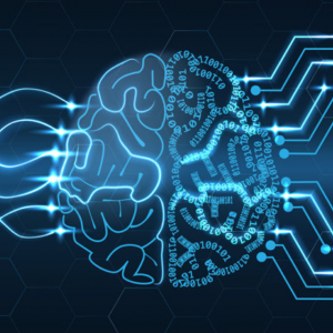 Cyber Drill et Cyber Exercice